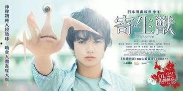 日本AA片久久小电影